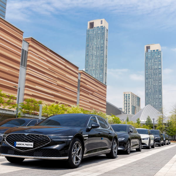 Luxury cars lined up with urban scenery in the background.